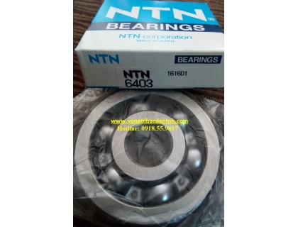 BẠC ĐẠN 6403 NTN